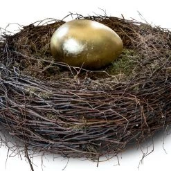 The Golden Egg Nest By James Perkins