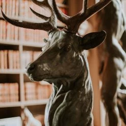 'The White Hart' By Samuel Steel