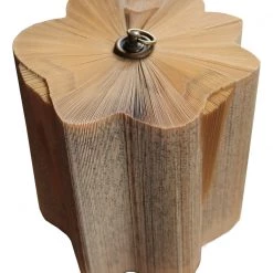 THE AYNHOE PARK COLLECTION Curiosities Perspex Theca Book Small