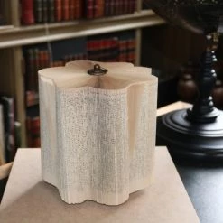 THE AYNHOE PARK COLLECTION Curiosities Perspex Theca Book Small