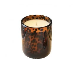 A Modern Grand Tour Luxury Aynhoe Park Candle - Tortoiseshell Bear