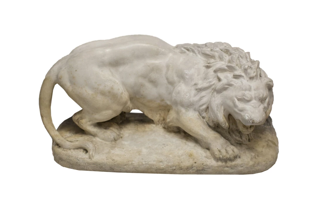 A Modern Grand Tour Study Of A Lion Curiosities 3 A Modern Grand Tour Study Of A Lion Curiosities