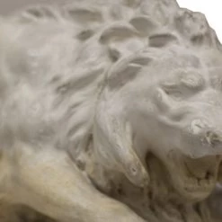 A Modern Grand Tour Study Of A Lion Curiosities
