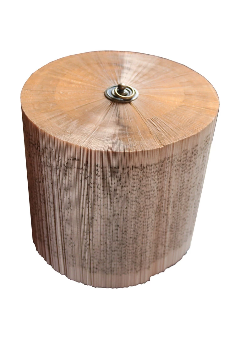 A Modern Grand Tour Perspex Theca Book Medium Curiosities 3 A Modern Grand Tour Perspex Theca Book Medium Curiosities