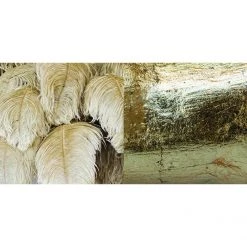 A Modern Grand Tour Extra Large Feather Chandelier Lighting