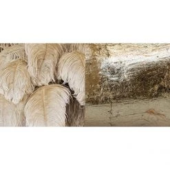 A Modern Grand Tour The Feather Chandelier Lighting