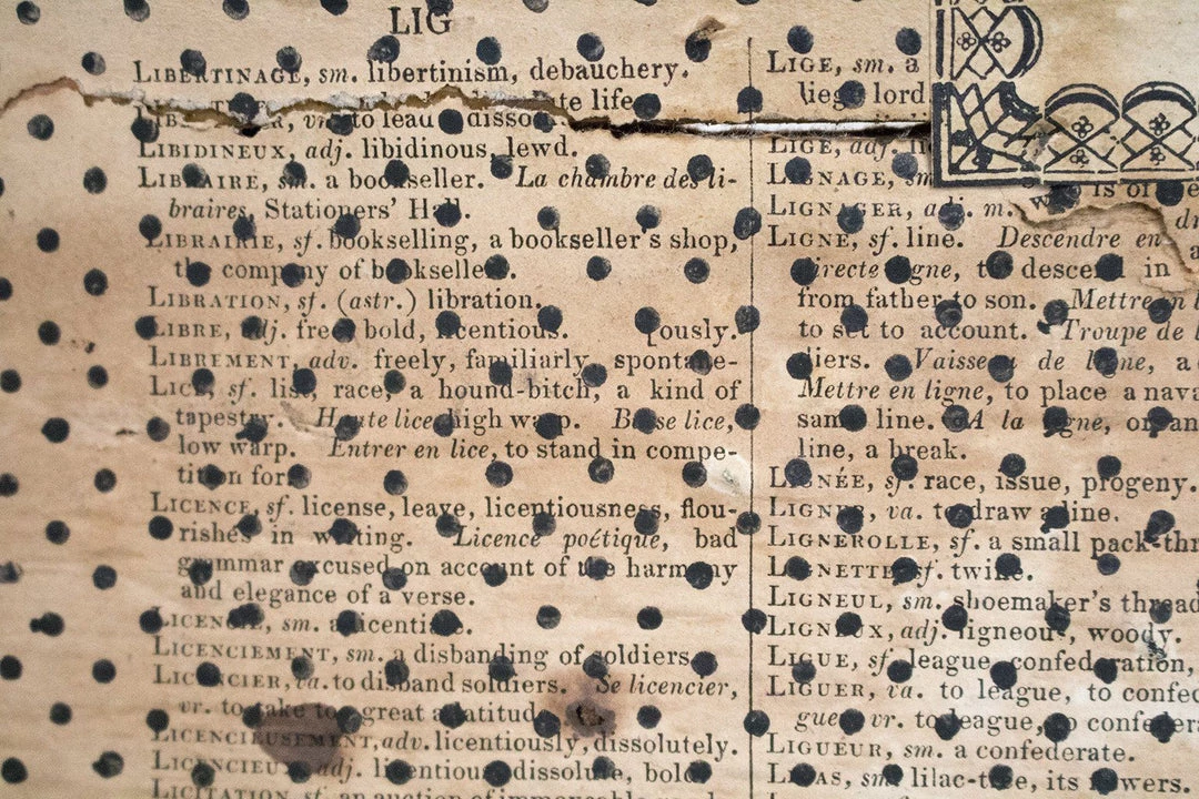 THE AYNHOE PARK COLLECTION Furniture Georgian Red Leather Trunk 12 THE AYNHOE PARK COLLECTION Furniture Georgian Red Leather Trunk