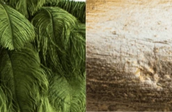 A Modern Grand Tour The Feather Chandelier Lighting