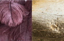 A Modern Grand Tour The Feather Chandelier Lighting