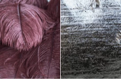 A Modern Grand Tour Extra Large Feather Chandelier Lighting