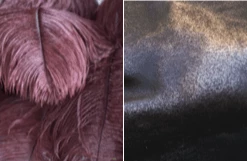 A Modern Grand Tour The Feather Chandelier Lighting