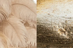 A Modern Grand Tour The Feather Chandelier Lighting