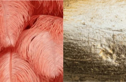 A Modern Grand Tour The Feather Chandelier Lighting