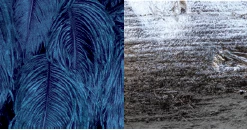 A Modern Grand Tour The Feather Chandelier Lighting