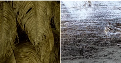 A Modern Grand Tour The Feather Chandelier Lighting