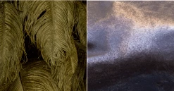 A Modern Grand Tour The Feather Chandelier Lighting