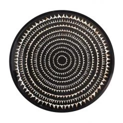 A Modern Grand Tour Fossilised Shark Teeth Display