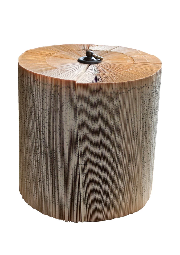 A Modern Grand Tour Perspex Theca Book Small Curiosities 3 A Modern Grand Tour Perspex Theca Book Small Curiosities