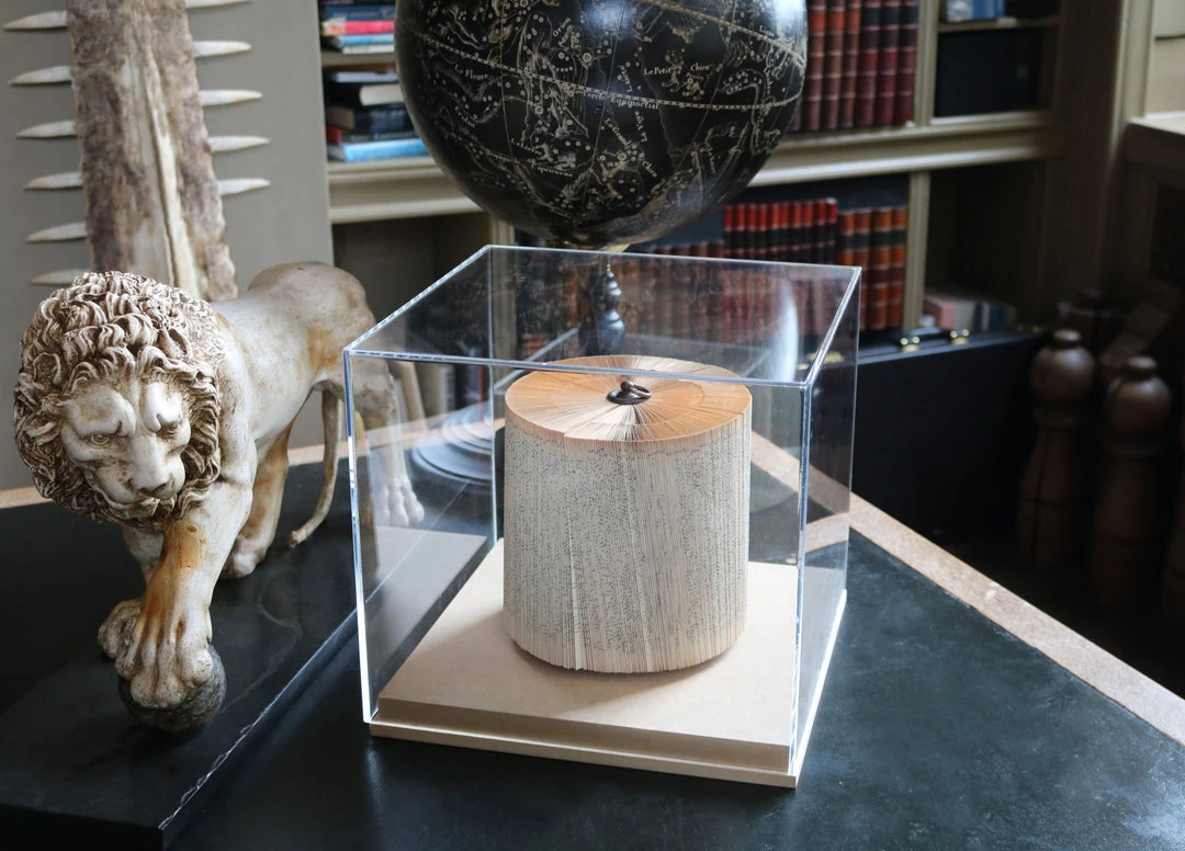 A Modern Grand Tour Perspex Theca Book Small Curiosities 4 A Modern Grand Tour Perspex Theca Book Small Curiosities