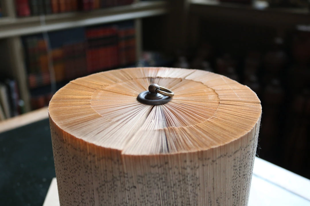 A Modern Grand Tour Perspex Theca Book Small Curiosities 5 A Modern Grand Tour Perspex Theca Book Small Curiosities