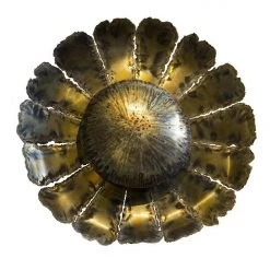 A Modern Grand Tour Lighting Giant Aynhoe Sunflower Wall Light